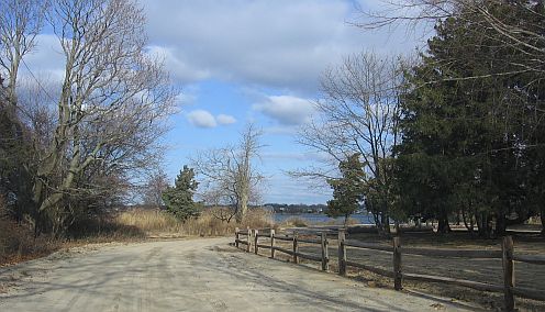 Road leading into park