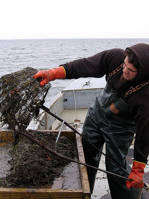 Joe and scallop dredge