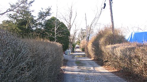 a very narrow road