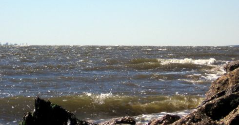 waves at the beach