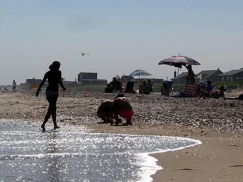 shells and waves glistening in the sun