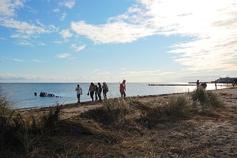 a beach